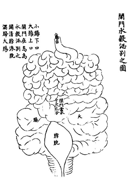 《循经考穴编》传本存真图 