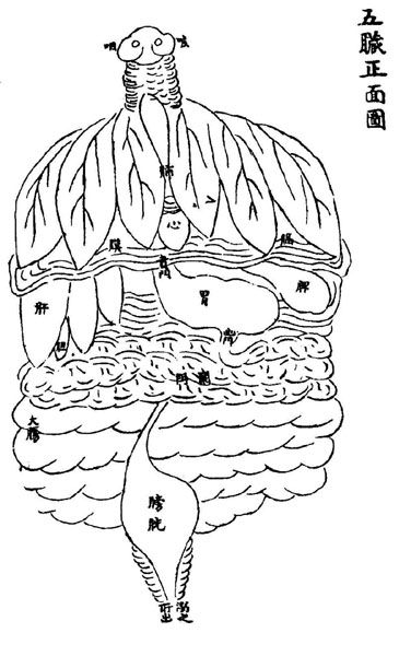 《循经考穴编》传本存真图 