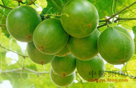 8种绝世神效瘦腿食物（图）