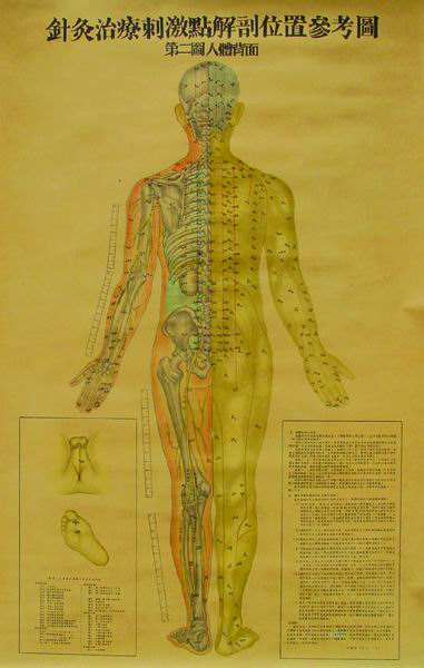 针灸治疗刺激点解剖位置参考图 