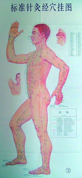 标准针灸经穴挂图