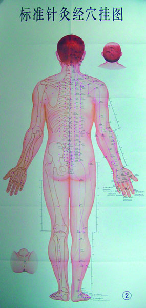 标准针灸经穴挂图