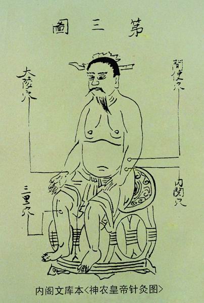 《神农皇帝针经图》分部穴图 