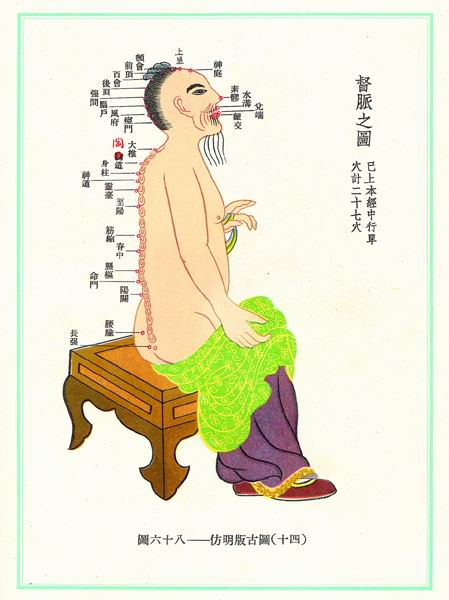《新针灸学》经穴图 