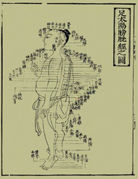 《十四经发挥》经穴图 